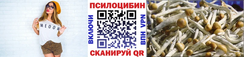 Псилоцибиновые грибы Psilocybe  Задонск 